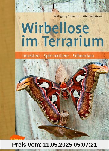 Wirbellose im Terrarium: Insekten - Spinnentiere - Schnecken