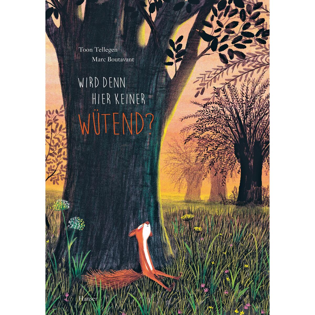 Wird denn hier keiner wütend? von Carl Hanser Verlag