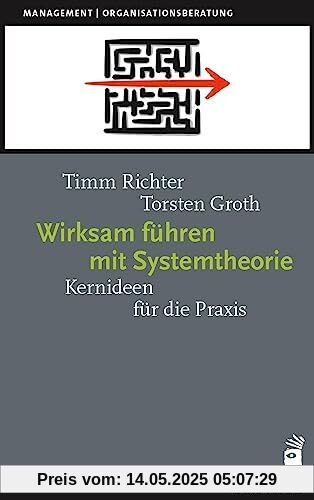 Wirksam führen mit Systemtheorie: Kernideen für die Praxis (Management)