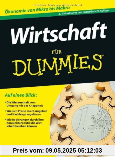 Wirtschaft für Dummies (Fur Dummies)