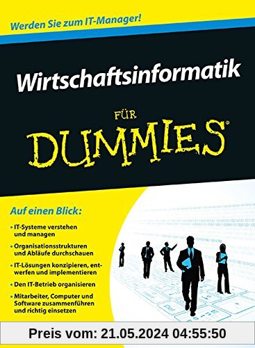 Wirtschaftsinformatik für Dummies (Fur Dummies)