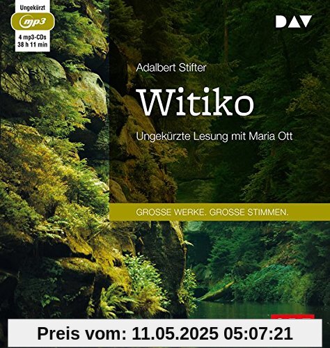 Witiko: Ungekürzte Lesung (4 mp3-CDs)