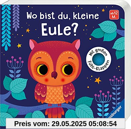 Wo bist du, kleine Eule?: Mit großen Fühlklappen