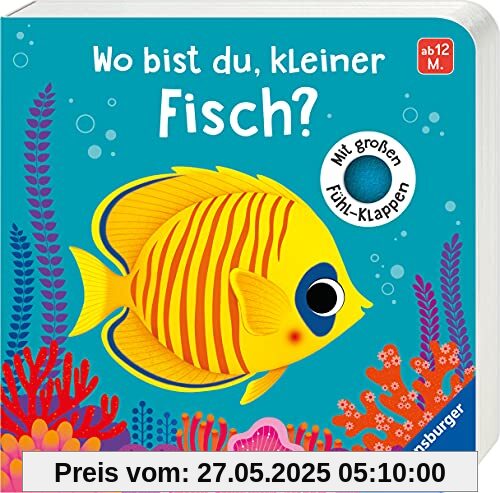 Wo bist du, kleiner Fisch?: Mit großen Fühlklappen