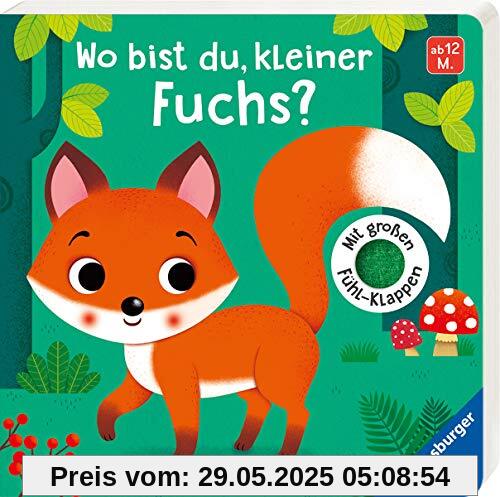 Wo bist du, kleiner Fuchs?: Mit großen Fühlklappen Wo bist du, kleiner Fuchs?: Mit großen Fühlklappen