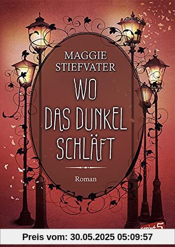 Wo das Dunkel schläft (Band 4): Entdecke die spannende Mischung aus Fantasy, Romantik und Spannung - Fantasyroman ab 14 Jahren