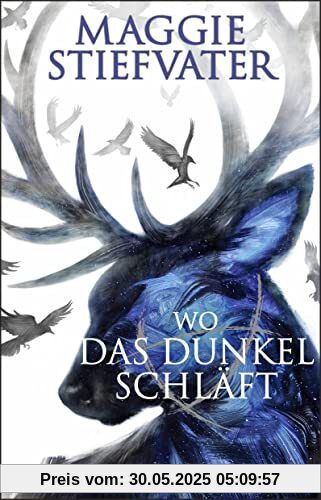Wo das Dunkel schläft: Das phänomenale Finale der Raven-Boys-Reihe von Bestseller-Autorin Maggie Stiefvater Wo das Dunkel schläft: Das phänomenale Finale der Raven-Boys-Reihe von Bestseller-Autorin Maggie Stiefvater
