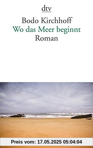 Wo das Meer beginnt: Roman