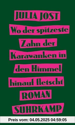 Wo der spitzeste Zahn der Karawanken in den Himmel hinauf fletscht: Roman | Eine Coming-of-Age-Geschichte voller Drive und Witz