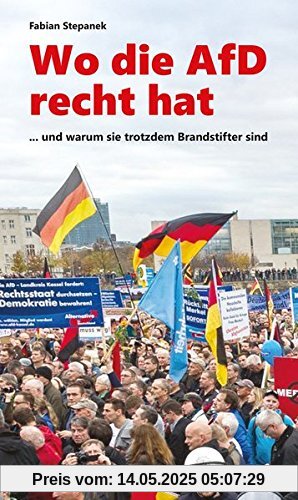 Wo die AfD recht hat: ... und warum sie trotzdem Brandstifter sind (Gemini)