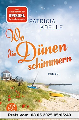 Wo die Dünen schimmern: Roman (Nordsee-Trilogie)