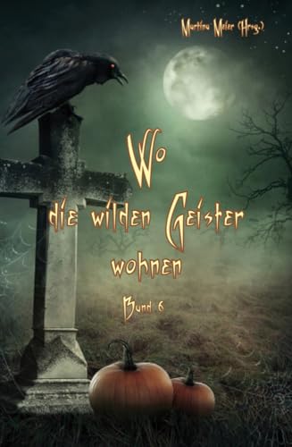 Wo die wilden Geister wohnen Band 6: Schaurig-schöne Geschichten für Kinder: Schaurig-schöne Geschichten für Kinder Band 6 von Papierfresserchens MTM-Verlag