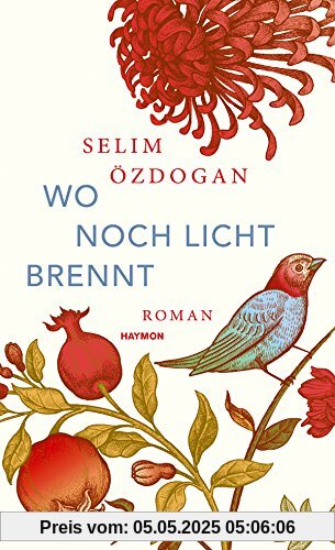 Wo noch Licht brennt: Roman