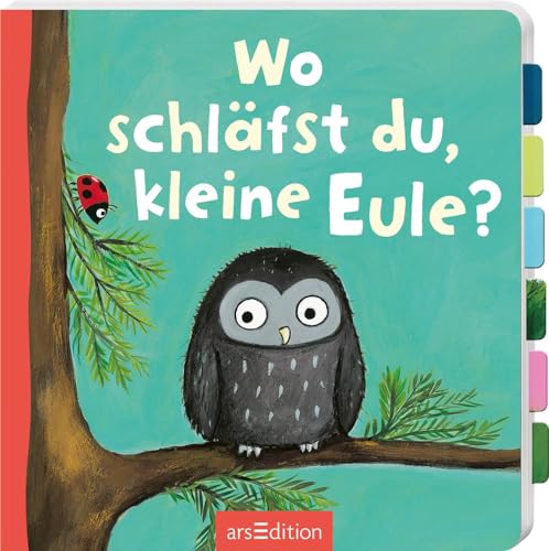 Wo schläfst du, kleine Eule?: Erstes Entdeckerbuch mit stabilen Klappen für Kinder ab 18 Monaten von arsEdition