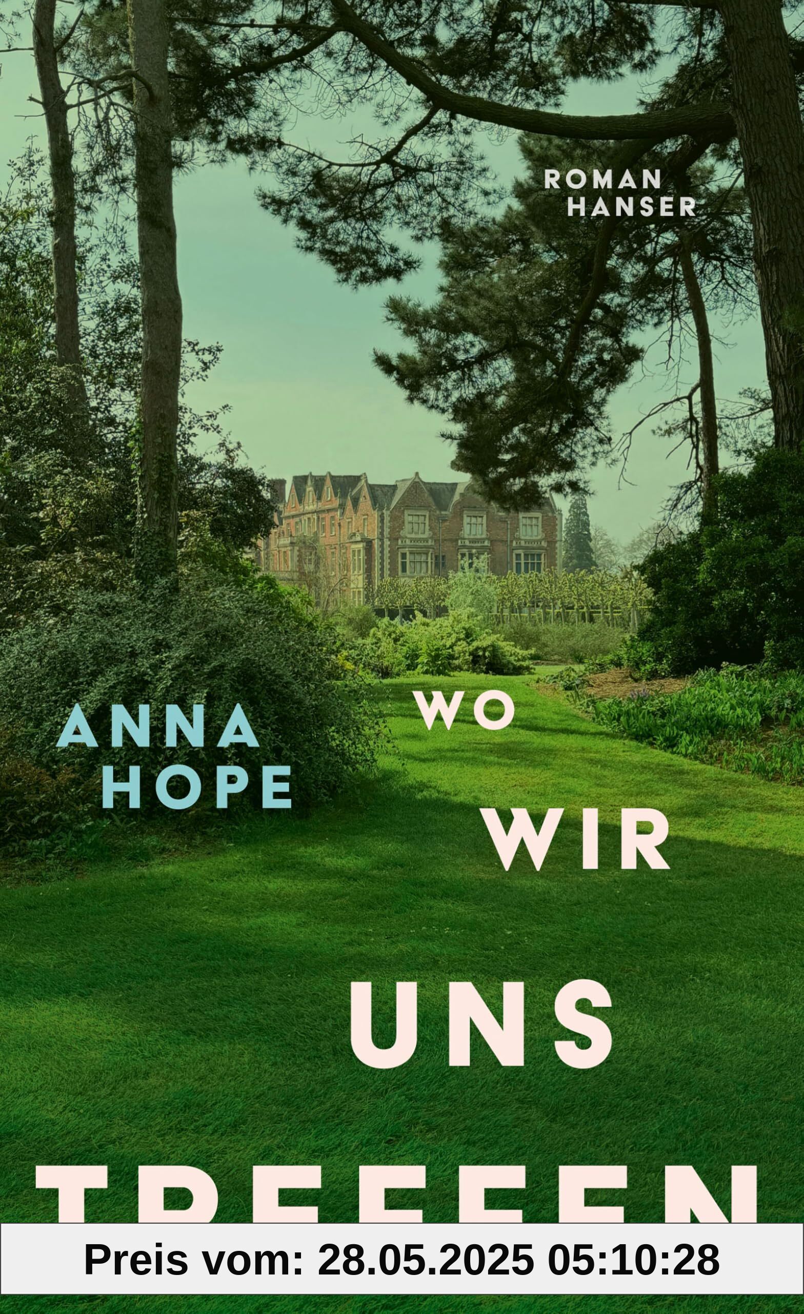 Wo wir uns treffen: Roman