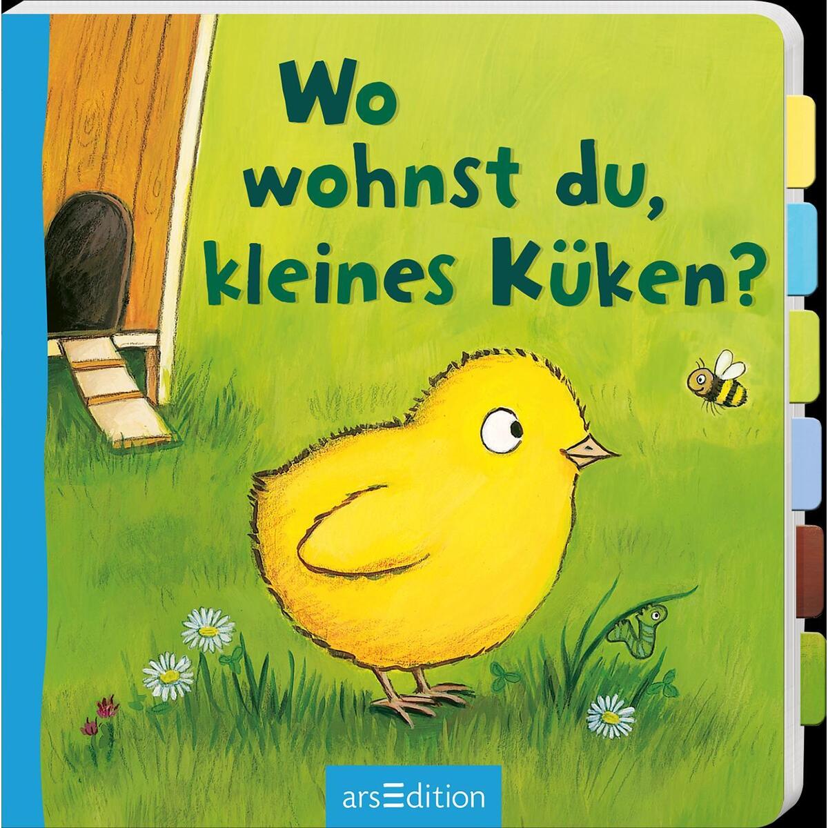 Wo wohnst du, kleines Küken? Wo wohnst du, kleines Küken? von Ars Edition GmbH