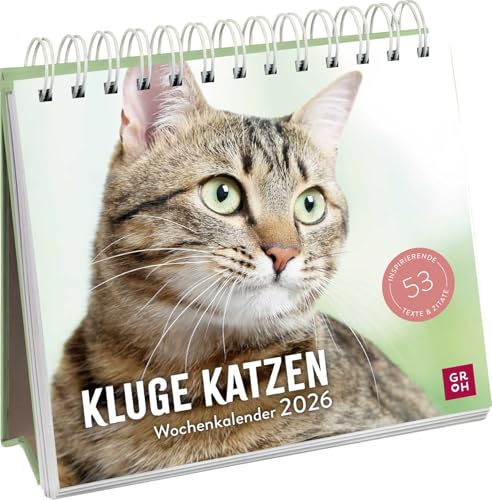 Wochenkalender 2026: Kluge Katzen: Katzenkalender zum Aufstellen mit Wochenkalendarium, Tischkalender für Katzenfreunde Wochenkalender 2026: Kluge Katzen: Katzenkalender zum Aufstellen mit Wochenkalendarium, Tischkalender für Katzenfreunde von Groh