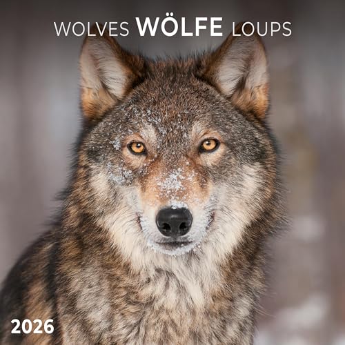 Wölfe/Wolves 2026: Kalender 2026 (Artwork Edition) von Tushita PaperArt