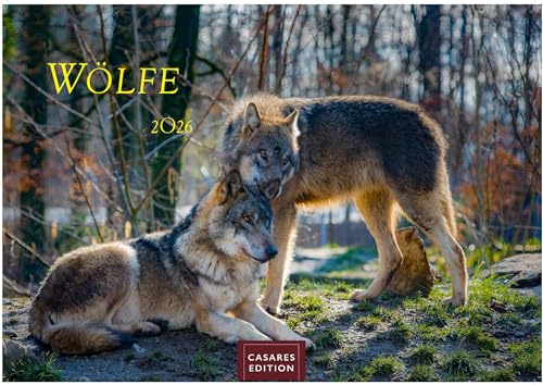 Wölfe 2026 L 35x50cm von CASARES EDITION