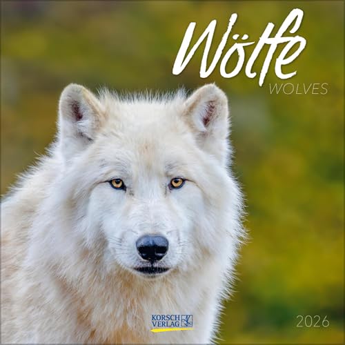 Wölfe 2026: Broschürenkalender mit Ferienterminen. Fasziniernde Bilder von Wölfen. 30 x 30 cm Wölfe 2026: Broschürenkalender mit Ferienterminen. Fasziniernde Bilder von Wölfen. 30 x 30 cm von Korsch Verlag