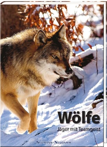 Wölfe: Jäger mit Teamgeist