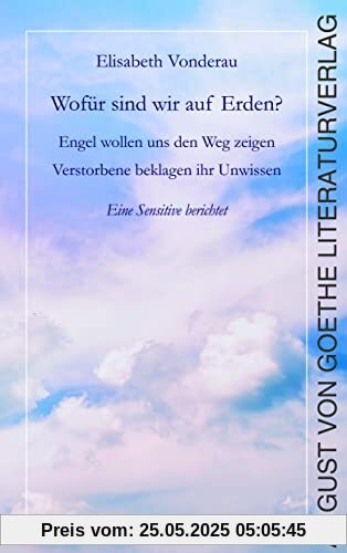 Wofür sind wir auf Erden?: Engel wollen uns den Weg zeigen. Verstorbene beklagen ihr Unwissen.