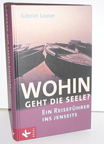 Wohin geht die Seele?: Ein Reiseführer ins Jenseits