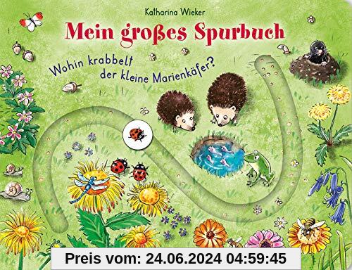Wohin krabbelt der kleine Marienkäfer?: Mein großes Spurbuch