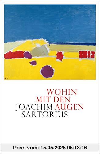 Wohin mit den Augen: Gedichte