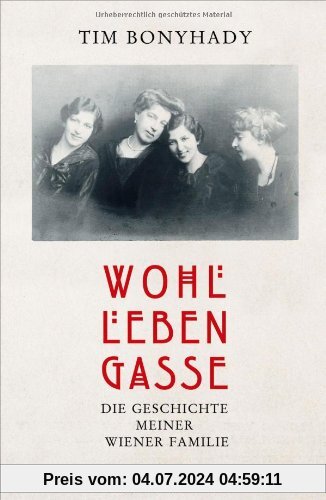 Wohllebengasse: Die Geschichte meiner Wiener Familie