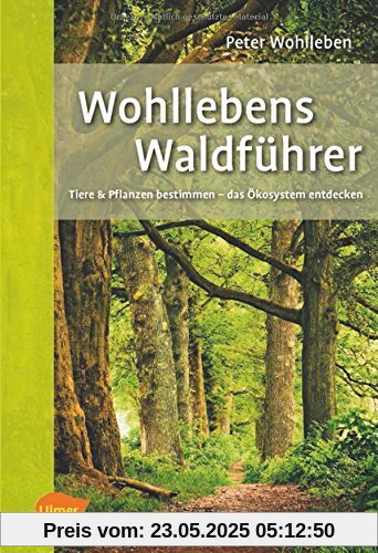 Wohllebens Waldführer: Tiere und Pflanzen bestimmen - das Ökosystem entdecken