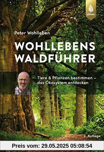 Wohllebens Waldführer: Tiere und Pflanzen bestimmen - das Ökosystem entdecken Wohllebens Waldführer: Tiere und Pflanzen bestimmen - das Ökosystem entdecken