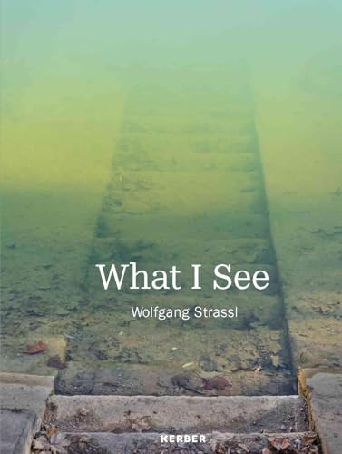 Wolfgang Strassl: What I See von Kerber Verlag