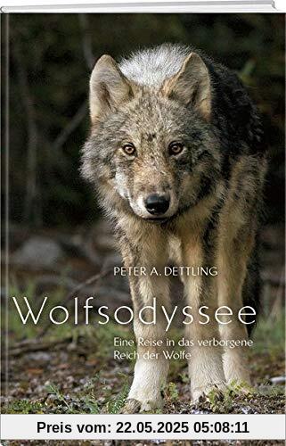 Wolfsodyssee: Eine Reise in das verborgene Reich der Wölfe