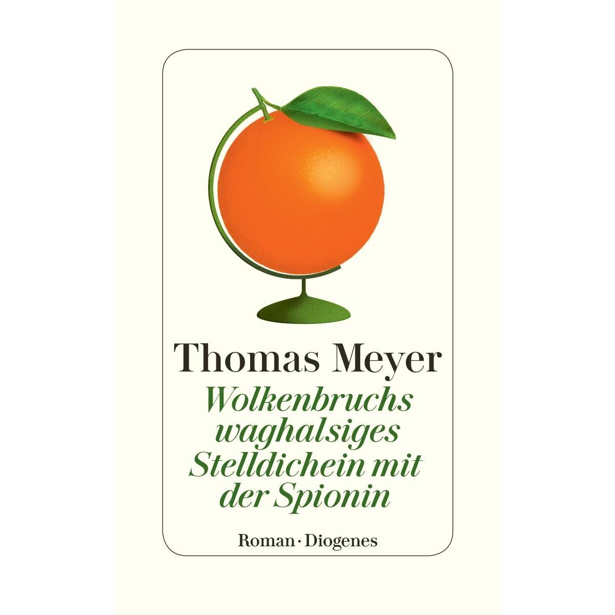 Wolkenbruchs waghalsiges Stelldichein mit der Spionin von Diogenes Verlag AG