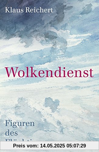 Wolkendienst: Figuren des Flüchtigen