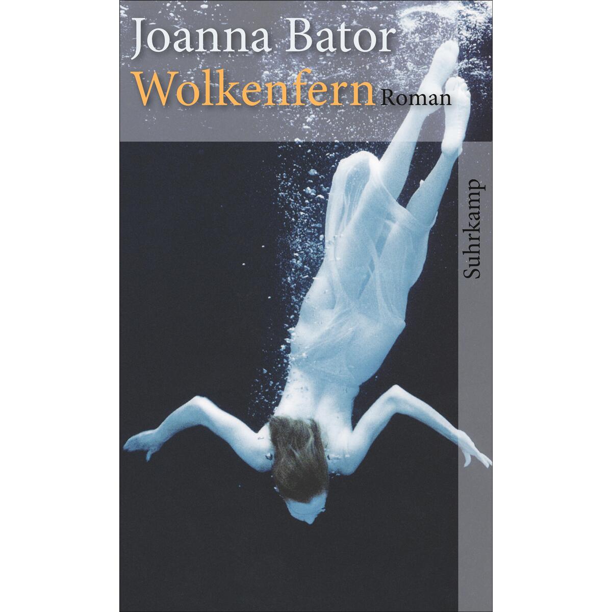 Wolkenfern Wolkenfern von Suhrkamp Verlag