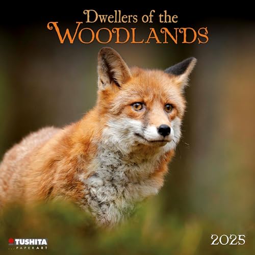 Woodlands/Bewohner des Waldes 2025: Kalender 2025 (Wonderful World)