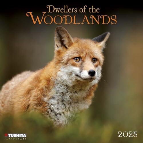 Woodlands/Bewohner des Waldes 2025: Kalender 2025 (Wonderful World) von Tushita PaperArt