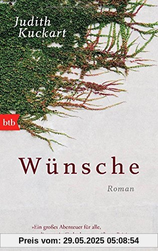 Wünsche: Roman
