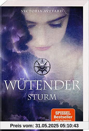 Wütender Sturm (Die Farben des Blutes 4)
