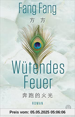 Wütendes Feuer: Roman