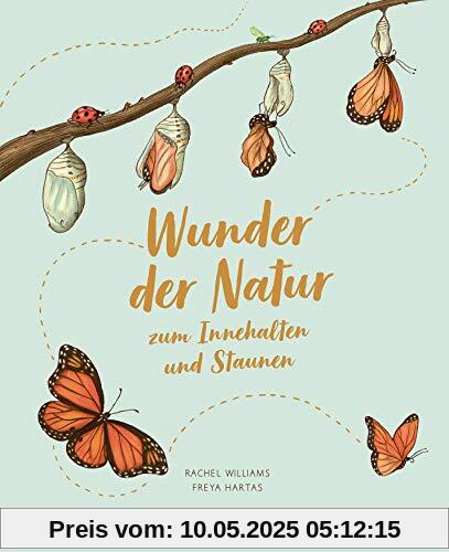 Wunder der Natur zum Innehalten und Staunen