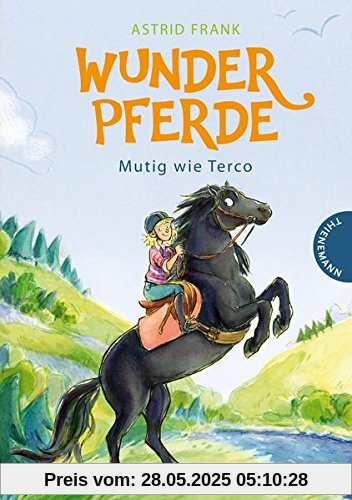 Wunderpferde 2: Wunderpferde: Mutig wie Terco