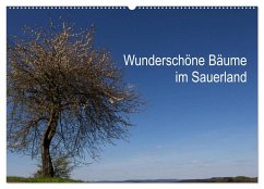 Wunderschöne Bäume im Sauerland (Wandkalender 2025 DIN A2 quer), CALVENDO Monatskalender von Calvendo