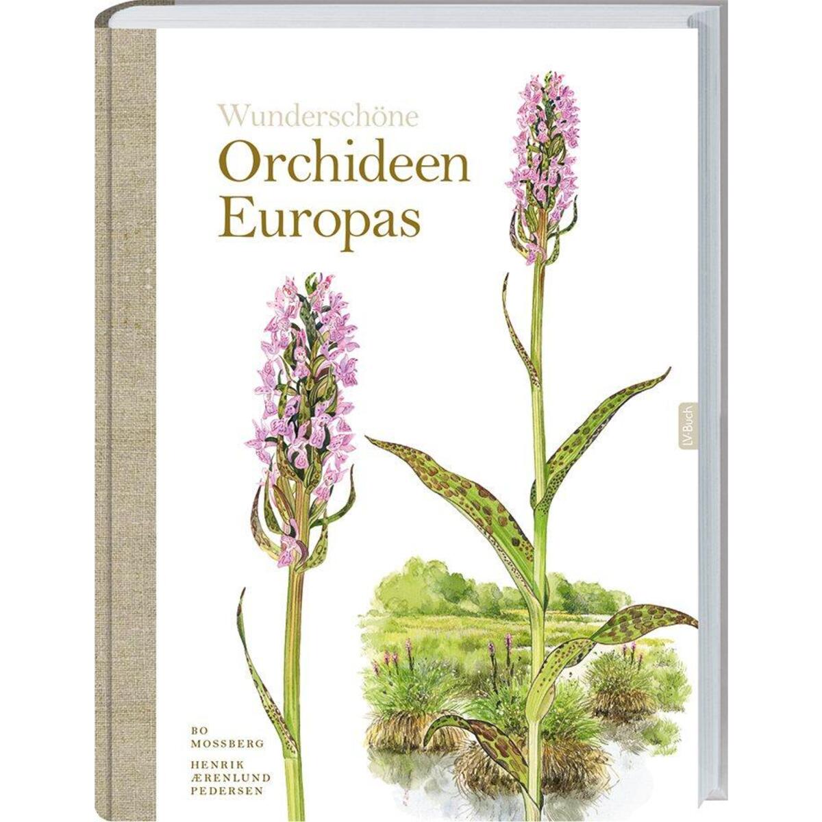 Wunderschöne Orchideen Europas Wunderschöne Orchideen Europas von Landwirtschaftsverlag