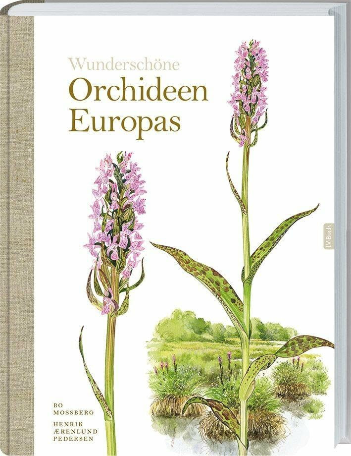 Wunderschöne Orchideen Europas: Entdecken, Identifizieren und Verstehen. Der umfassende Leitfa...