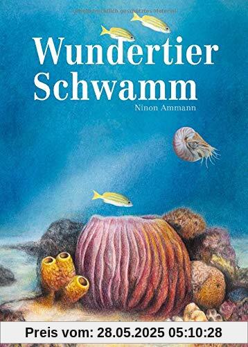 Wundertier Schwamm Wundertier Schwamm