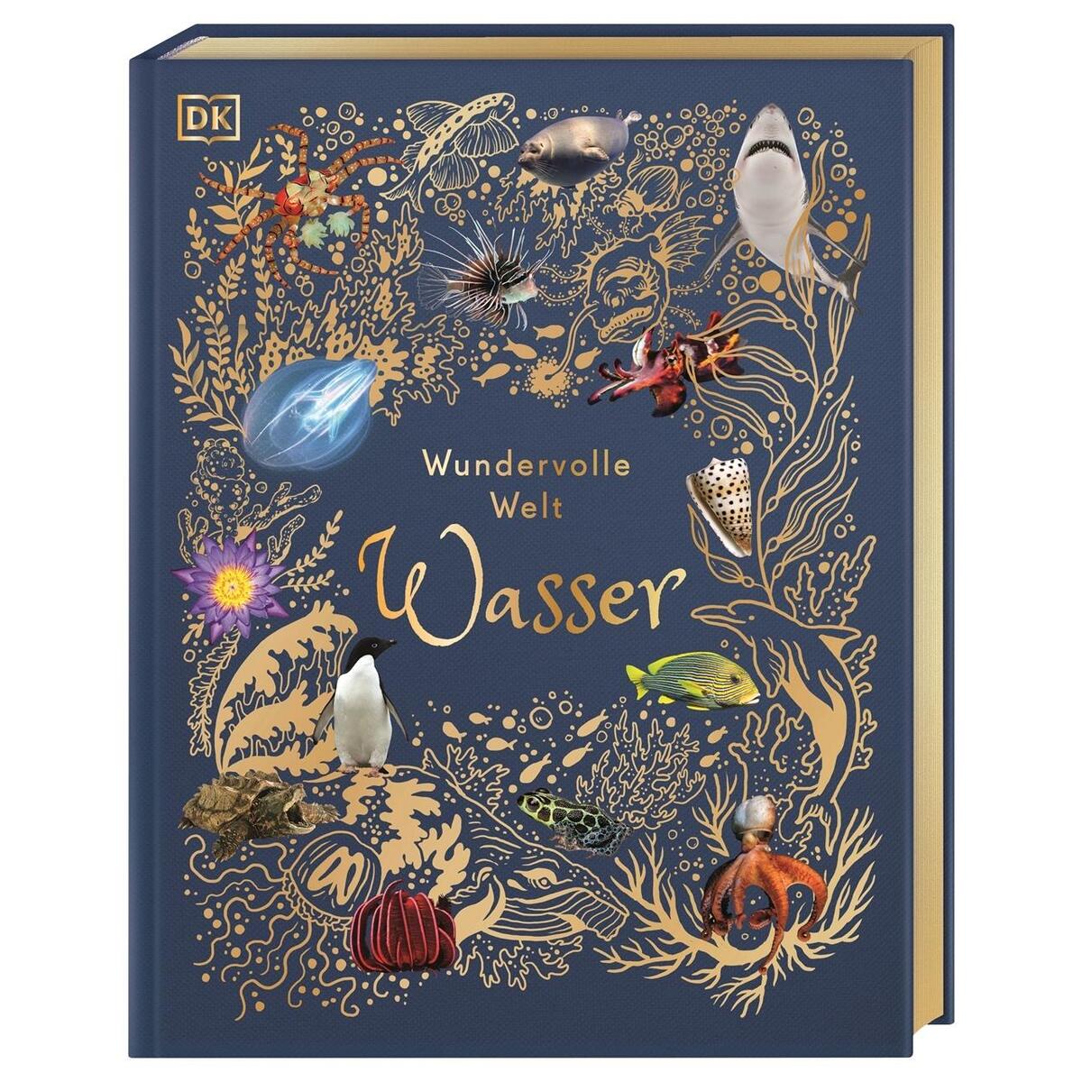 Wundervolle Welt: Wasser Wundervolle Welt: Wasser von Dorling Kindersley Verlag