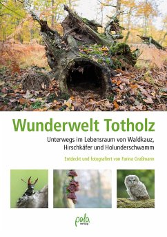 Wunderwelt Totholz von Pala-Verlag